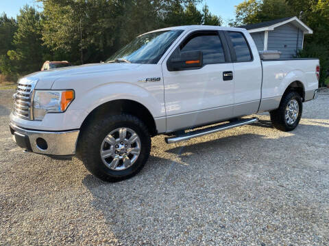 2011 Ford F-150 for sale at Marks and Son Used Cars in Athens GA