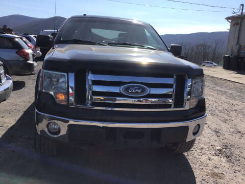 2010 Ford F-150 XLT