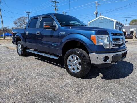 2014 Ford F-150 for sale at Welcome Auto Sales LLC in Greenville SC