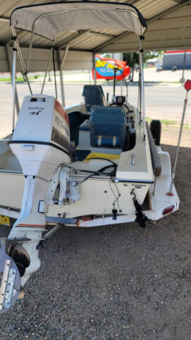 1977 Arrow Glass Tarpon