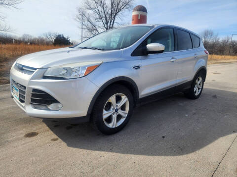 2014 Ford Escape for sale at MAD MOTORS LLC in Saint Cloud MN