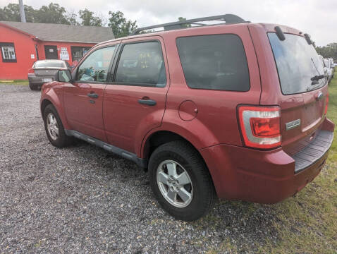 2011 Ford Escape XLT