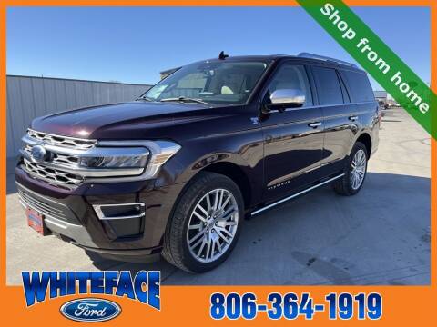 2023 Ford Expedition for sale at Whiteface Ford in Hereford TX
