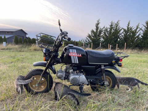 1983 Honda Gorilla