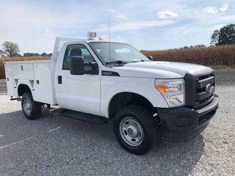 2012 Ford F-250 Super Duty for sale at MOES AUTO SALES in Spiceland IN