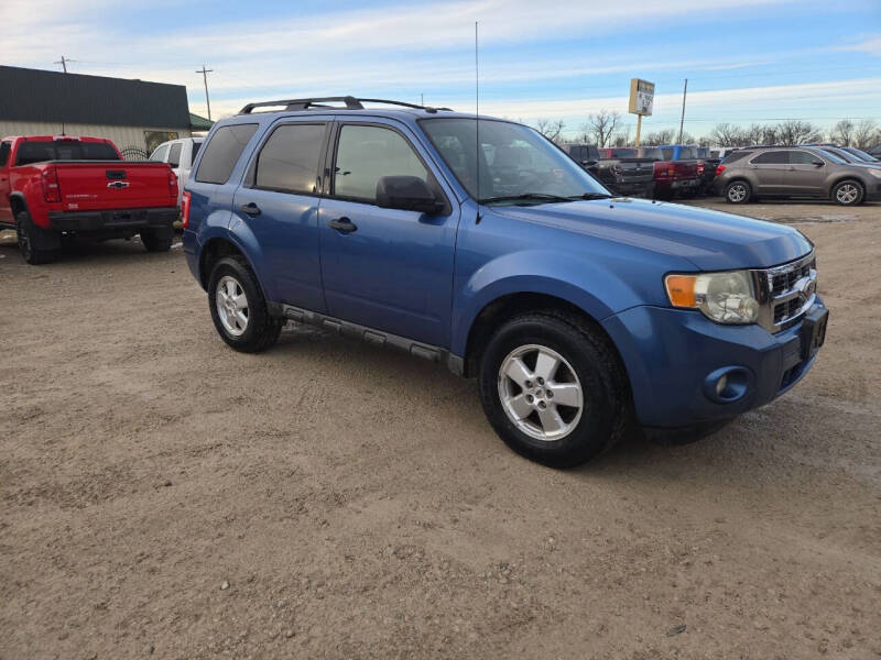 2010 Ford Escape XLT's photo