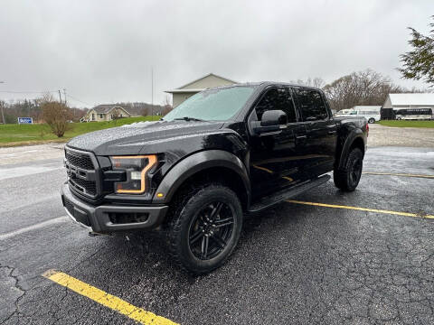 2017 Ford F-150 for sale at VILLAGE AUTO MART LLC in Portage IN