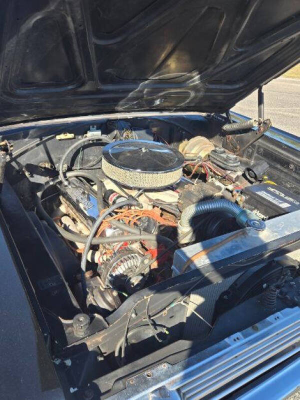 1966 Plymouth Belvedere