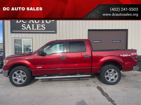 2013 Ford F-150 for sale at DC AUTO SALES in Dakota City NE