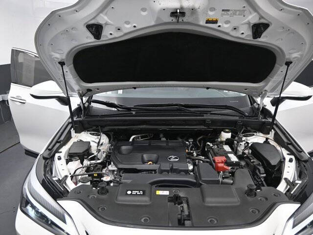 2025 Lexus NX 250
