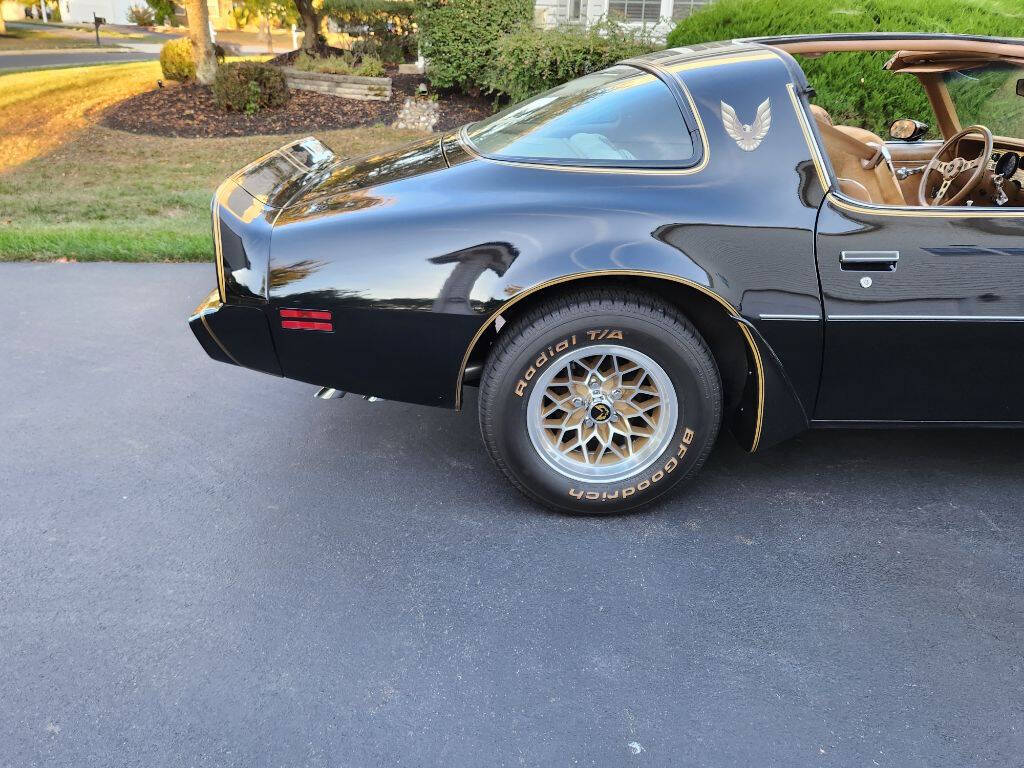 1979 Pontiac Trans Am for sale at Professional Sales Inc in Bensalem, PA