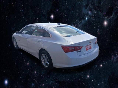 2023 Chevrolet Malibu LS Fleet