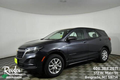 2022 Chevrolet Equinox for sale at Danhof Motors in Manhattan MT