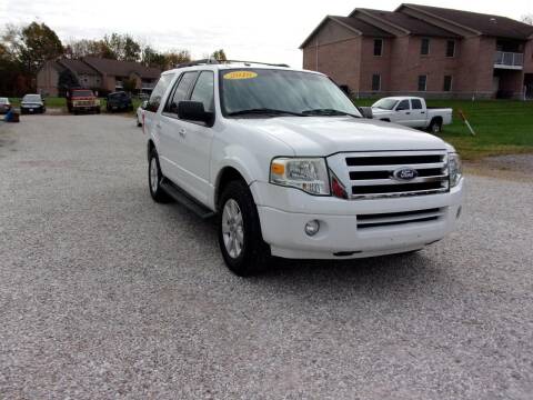 2010 Ford Expedition for sale at BABCOCK MOTORS INC in Orleans IN