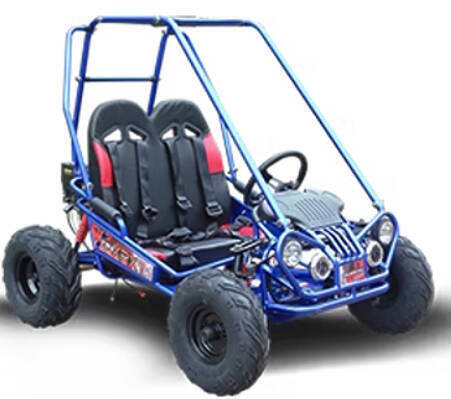 2026 TrailMaster Mini XRX