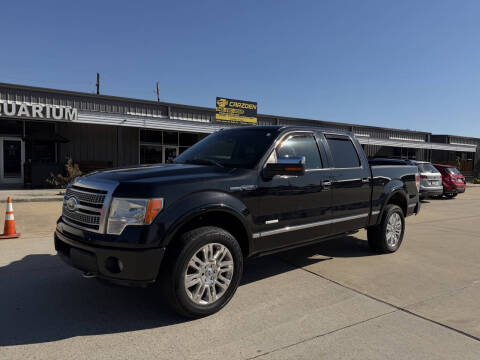 2012 Ford F-150 Platinum