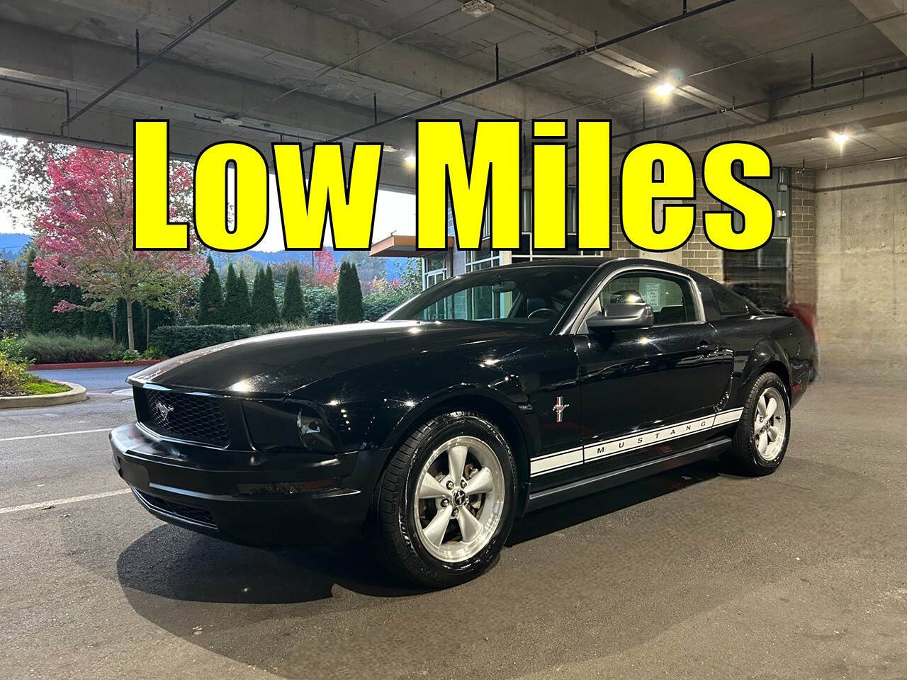 2007 Ford Mustang for sale at Issaquah Autos in Issaquah, WA