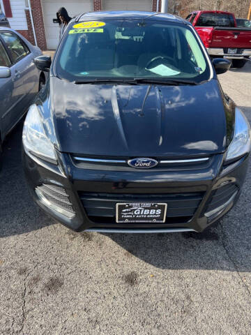 2015 Ford Escape SE