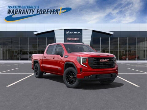 2023 GMC Sierra 1500 for sale at FRANKLIN CHEVROLET CADILLAC in Statesboro GA