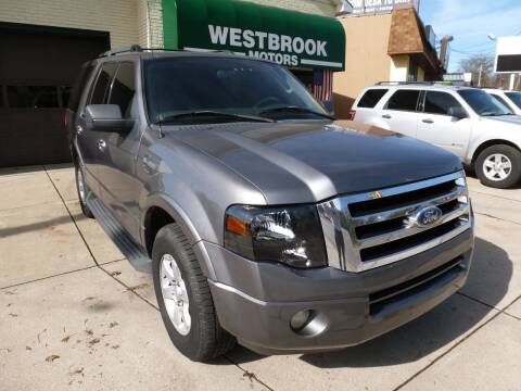 2010 Ford Expedition for sale at Westbrook Motors in Grand Rapids MI