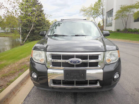 2011 Ford Escape Limited