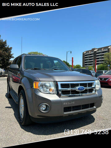 2010 Ford Escape for sale at BIG MIKE AUTO SALES LLC in Lincoln Park MI