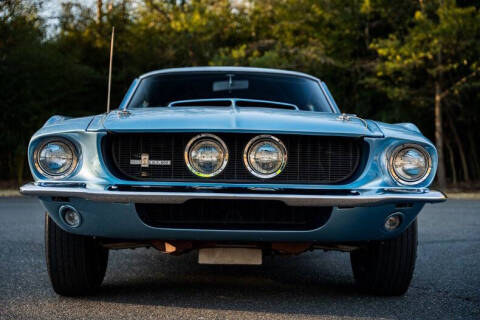 1967 Shelby GT500