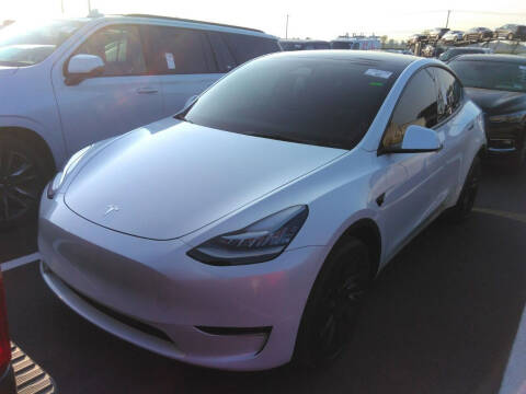 2022 Tesla Model Y for sale at Byrd Dawgs Automotive Group LLC in Mableton GA