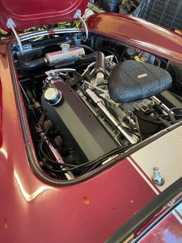 1966 Shelby Cobra