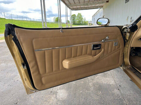 1979 Pontiac Firebird Trans Am