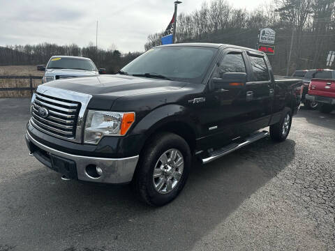 2012 Ford F-150 for sale at Pine Grove Auto Sales LLC in Russell PA