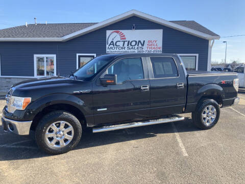 2013 Ford F-150 for sale at Action Motor Sales in Gaylord MI