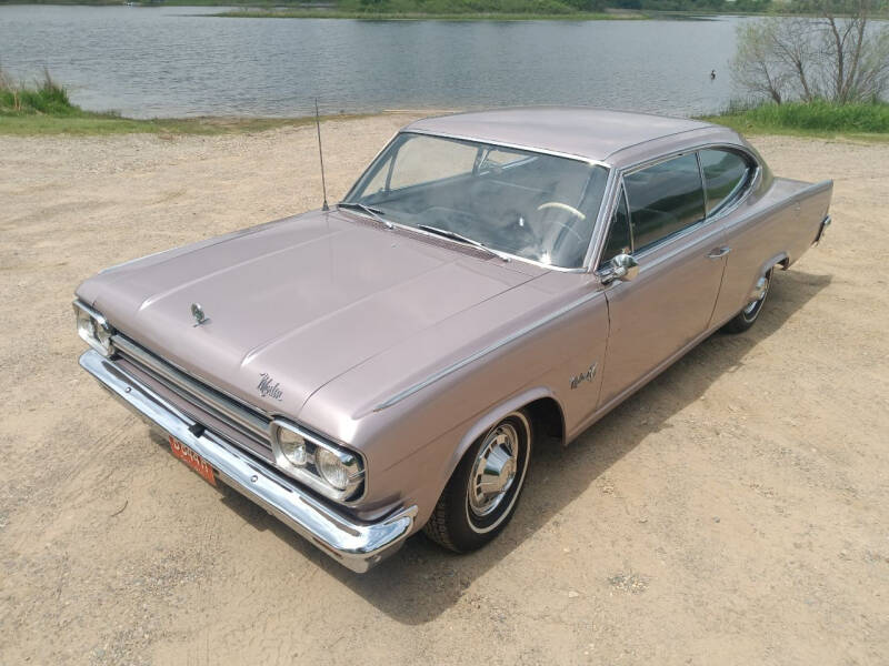 AMC For Sale In Augusta, MI