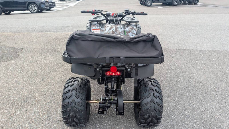 2025 TrailMaster 200 Utility