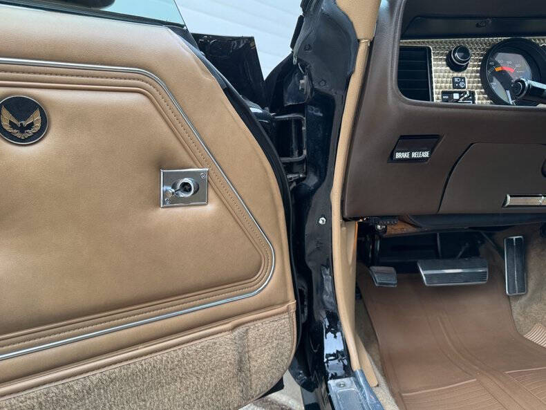 1981 Pontiac Firebird Trans Am