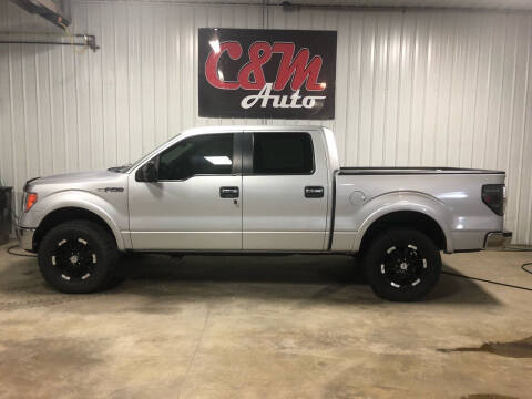 2010 Ford F-150 for sale at C&M Auto in Worthing SD