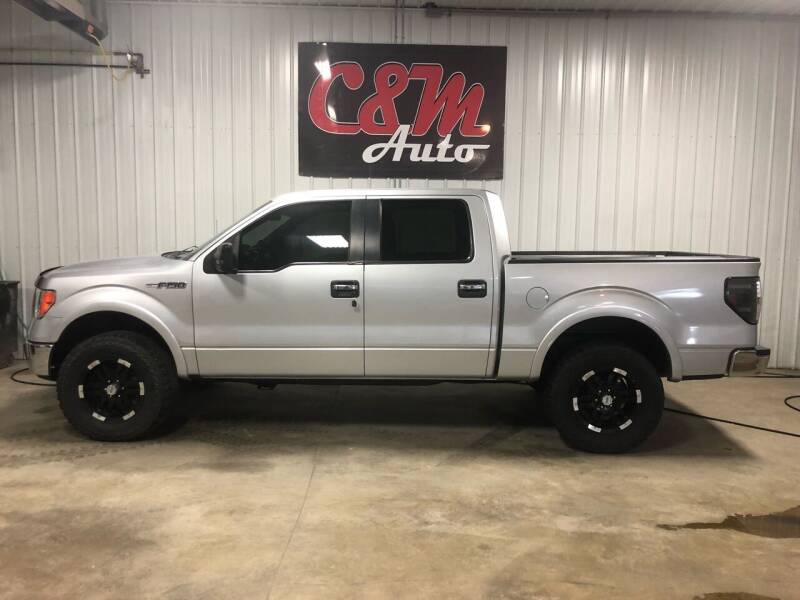 2010 Ford F-150 for sale at C&M Auto in Worthing SD