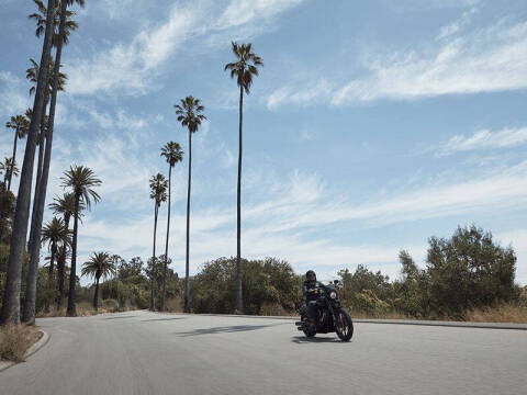2020 Harley-Davidson Low Rider