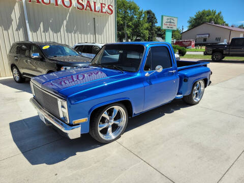 1976 Chevrolet C/K 10 Series for sale at De Anda Auto Sales in Storm Lake IA