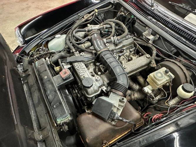 1987 Alfa Romeo Spider Graduate