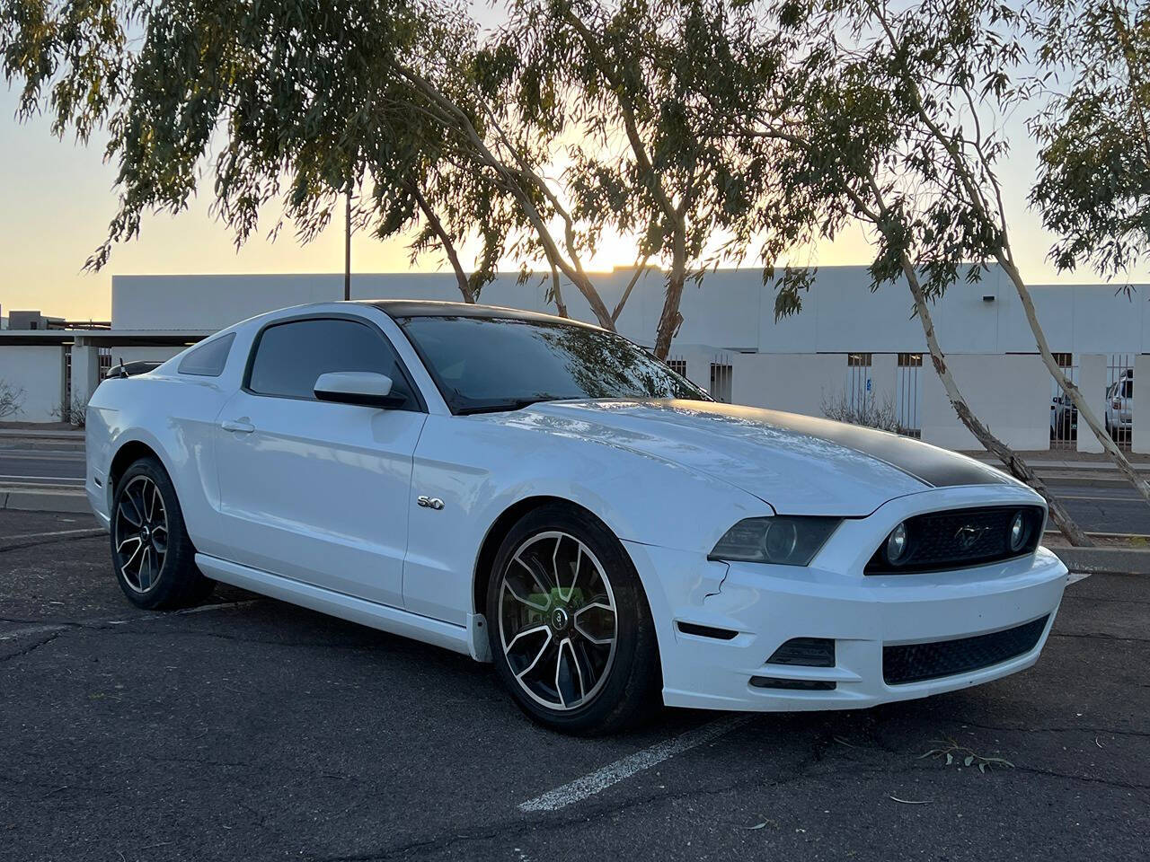 2014 Ford Mustang for sale at Greater Motors in Chandler, AZ