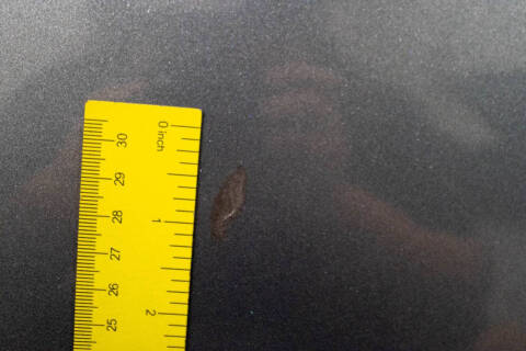 2007 Mazda MX-5 Miata Sport