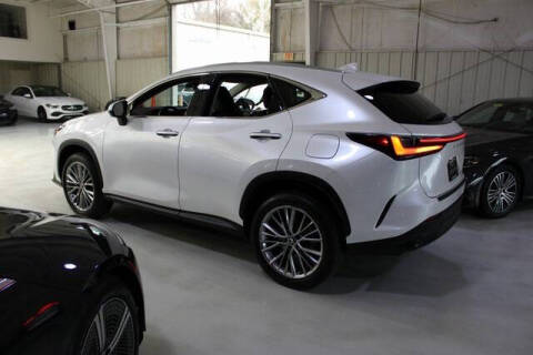 2025 Lexus NX 350 Premium