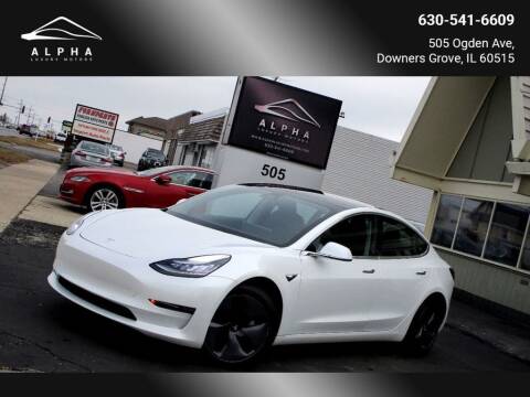 2019 Tesla Model 3 for sale at Alpha Luxury Motors in Downers Grove IL