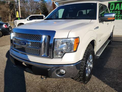 2011 Ford F-150 for sale at DANGO AUTO SALES in Howard City MI