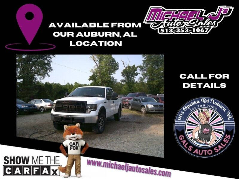2010 Ford F-150 for sale at MICHAEL J'S AUTO SALES in Cleves OH