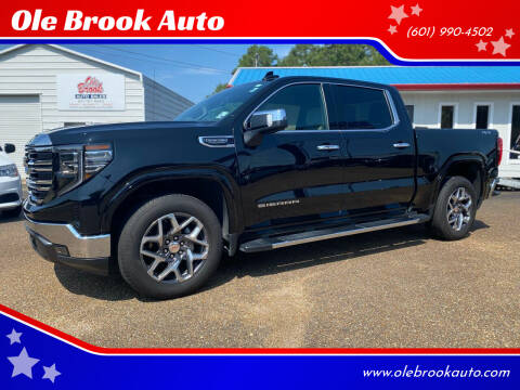 2022 GMC Sierra 1500 for sale at Auto Group South - Ole Brook Auto in Brookhaven MS