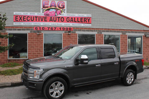 2019 Ford F-150 for sale at EXECUTIVE AUTO GALLERY INC in Walnutport PA