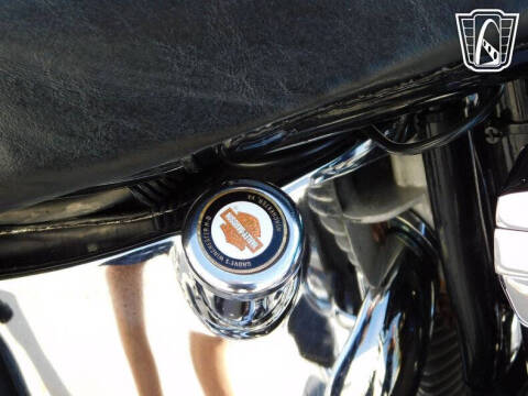 1992 Harley-Davidson Heritage Soft Tail