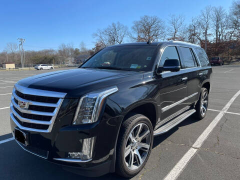 2015 Cadillac Escalade for sale at American Best Auto Sales in Uniondale NY